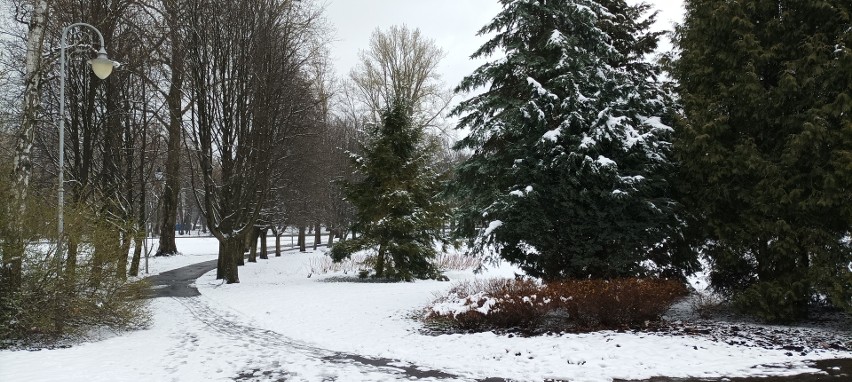 Pod śnieżną pierzynką Park Kościuszki potrafi zachwycić....