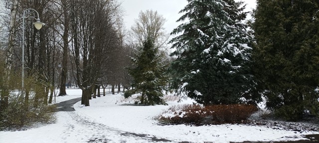 Pod śnieżną pierzynką Park Kościuszki potrafi zachwycić.  Zobacz kolejne zdjęcia. Przesuwaj zdjęcia w prawo - naciśnij strzałkę lub przycisk NASTĘPNE