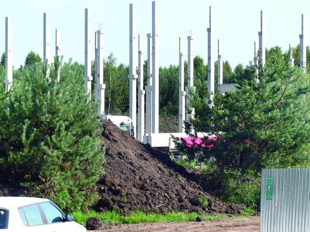 Po kilkutygodniowym przestoju ruszyła budowa Parku Przemysłowo – Technologicznego w tarnobrzeskim Zakrzowie. Widać już słupy konstrukcyjne pod dwie hale.