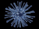 Nowy śmiertelny wirus w Europie. Zabija jedną trzecią pacjentów
