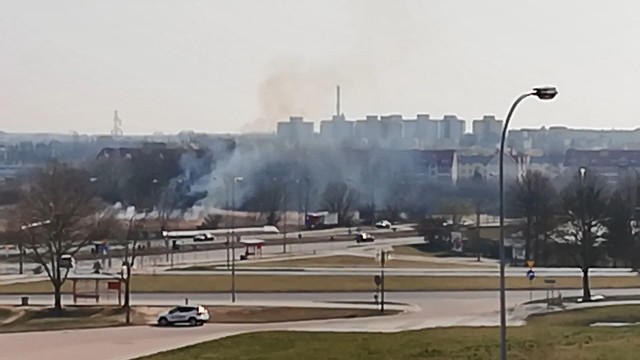 Pożar łąki na Osiedlu Młodych w Białymstoku