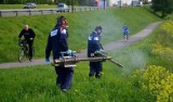 Ratusz rozpoczyna odkomarzanie Lublina. Blisko 175 hektarów terenów zielonych. Sprawdź kiedy