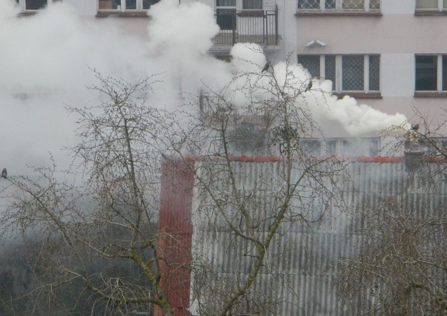 Największym trucicielem w naszym regionie jest teraz smog, zwłaszcza który powoduje dym z domowych kominów