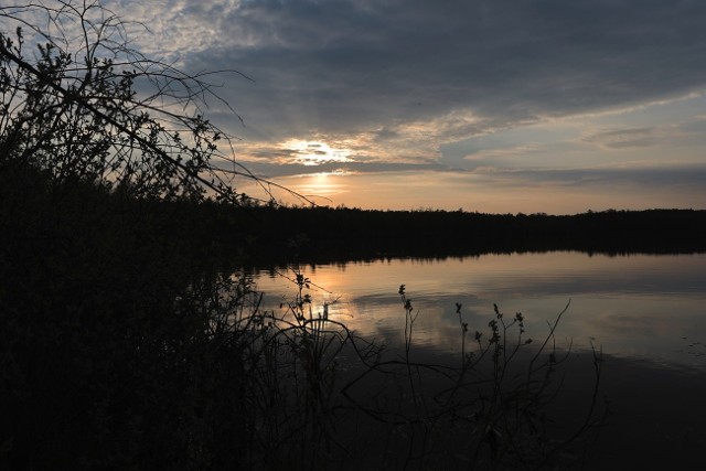 Rezerwat przyrody Jezioro Obradowskie znajduje się w powiecie parczewskim
