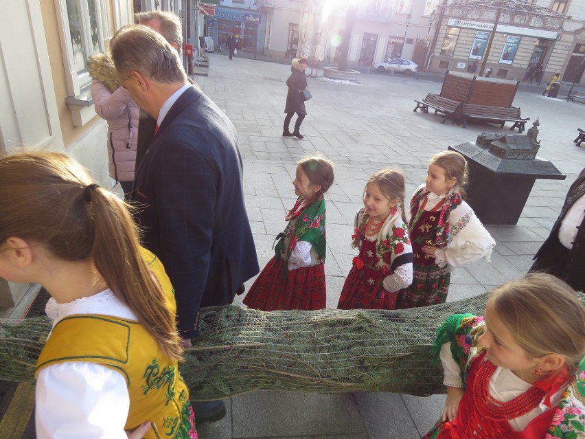 Choinkę delegacja górali wniosła do papieskiego muzeum a...