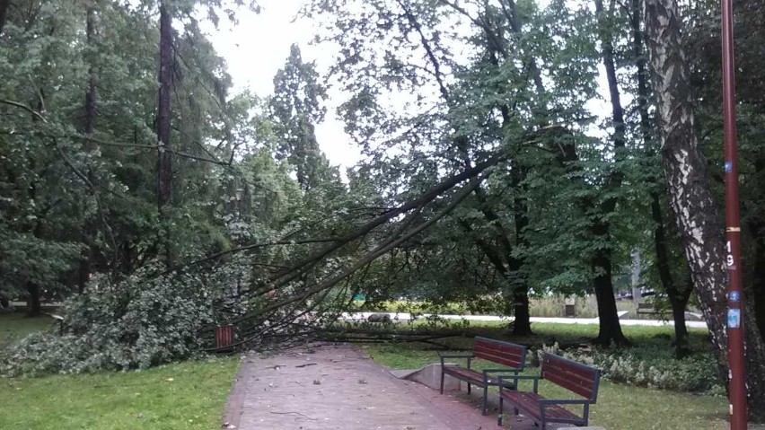 Park Inwalidów przy ul. Dąbrowskiego...