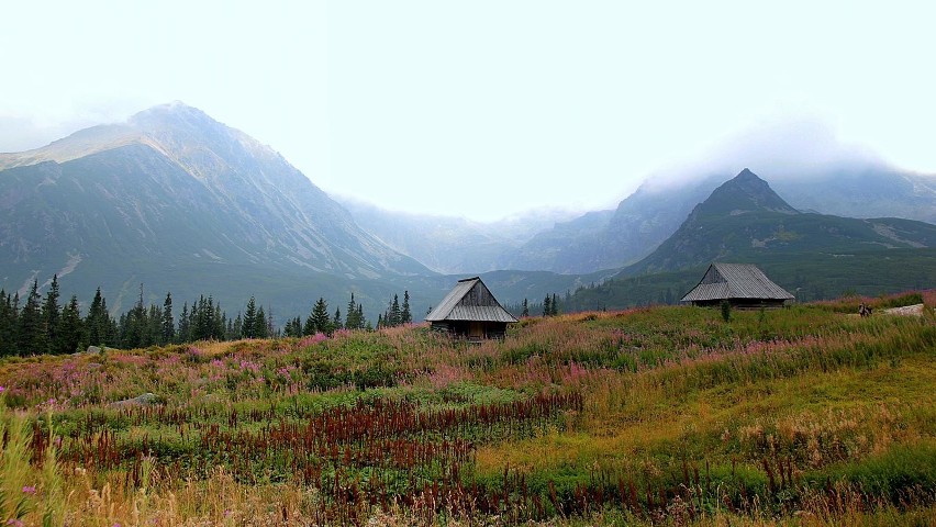 Weekendowy i jesienny spacer w Tatrach [ZDJĘCIA]