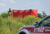 Tragedia na torach w Sośnicy. Zginął pieszy, który prowadził rower [ZDJĘCIA, WIDEO]