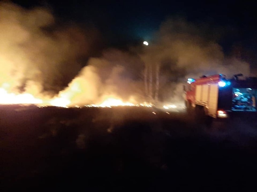 Nocny pożar traw w gminie Secemin. Akcja gaszenia zakończyła się po północy (ZDJĘCIA)