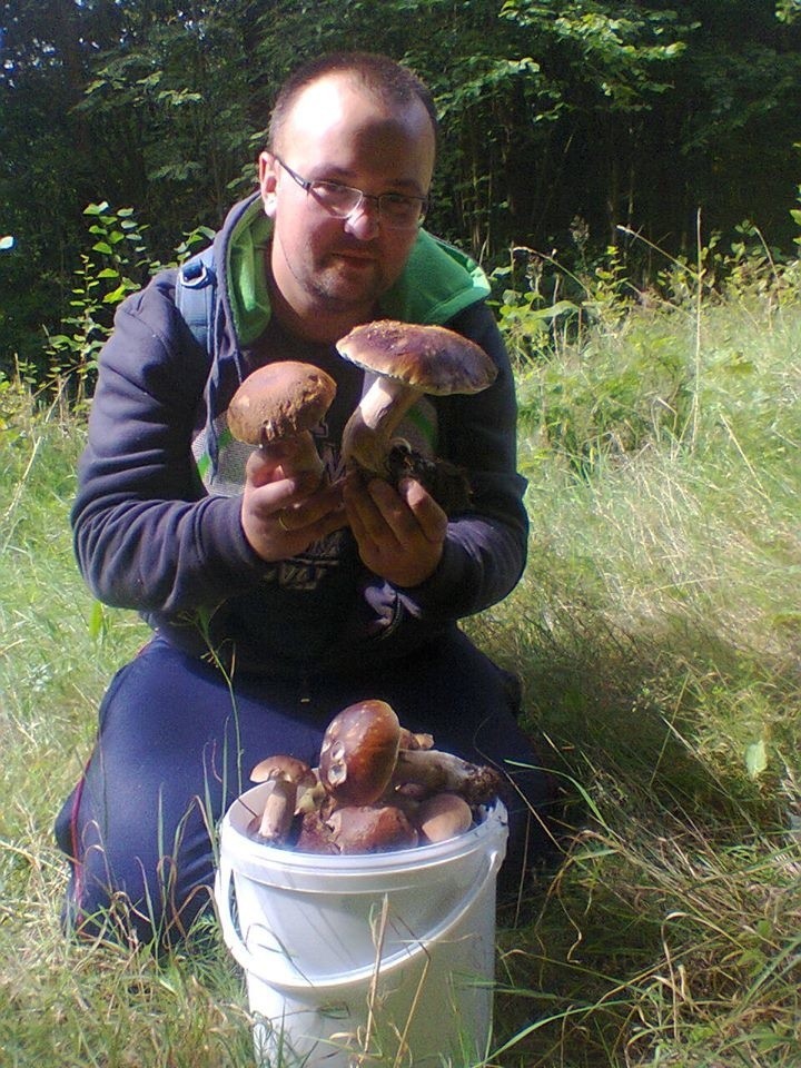 Grzybobranie w okolicach Miastka.