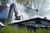 Ogromny pożar w Świętochłowicach. Zawaliła się część hali gospodarstwa rolnego. Strażacy dogasili zgliszcza