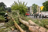 Burze na Dolnym Śląsku. Gdzie wyrządziły najwięcej szkód? Jak długo popada?