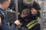 Borodzianka: Strażacy uratowali uwięzionego kota. "Mały cud" [WIDEO]