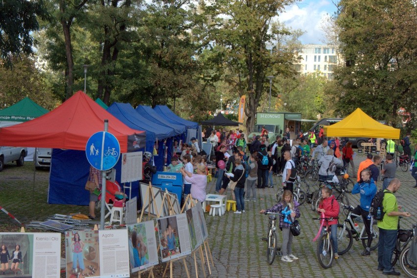 Na Wyspie Słodowej do lekarza za darmo i bez skierowania. Tłumy chętnych! (ZDJĘCIA)