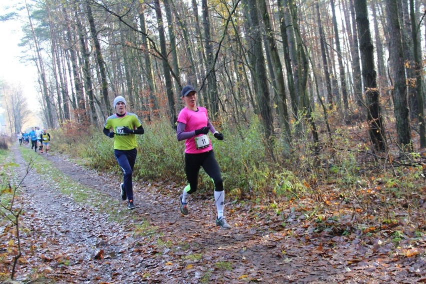 CITY TRAIL Bydgoszcz: wiosna w listopadzie i ponad 700 biegaczy na starcie