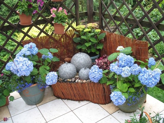 Hortensje w donicachWiele ogrodowych roślin dobrze będzie się czuło również w donicach na balkonie. Należą do nich m.in. hortensje.