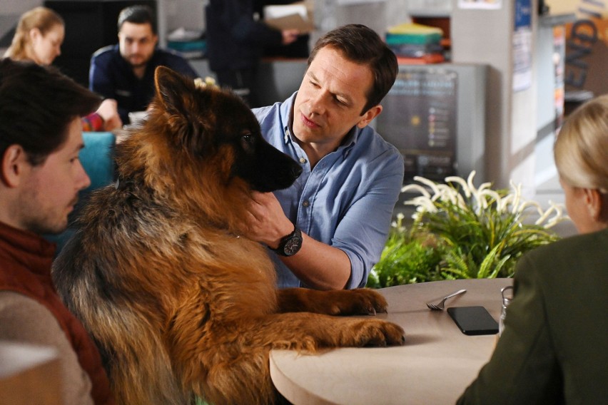 Nowy komisarz uwielbia psy, więc porozumienie z  Aleksem...