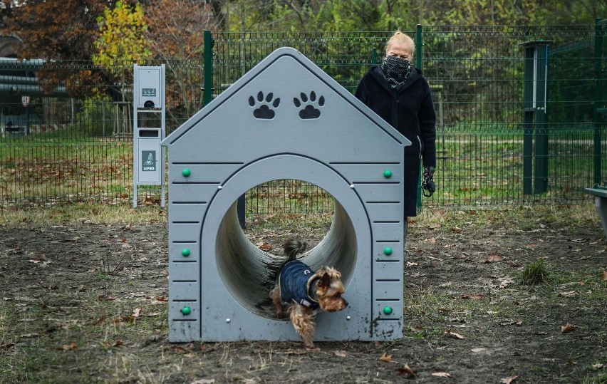 Wybieg dla psów w Bydgoszczy
