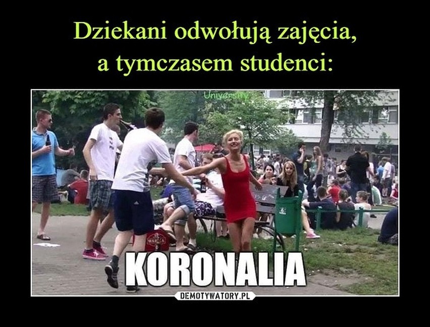 Wyjątkowe memy o studentach czasów pandemii koronawirusa