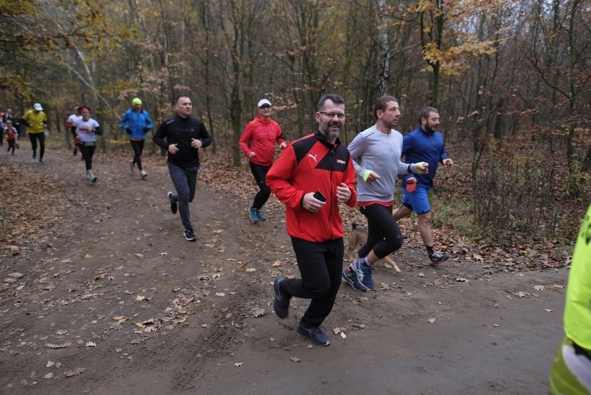 Parkrun Toruń - miłośnicy ruchu spotkali się na Skarpie. Zobacz zdjęcia!