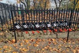 Kraków. Pilotażowa "grabkodzielnia" na cmentarzu Podgórskim, będą następne