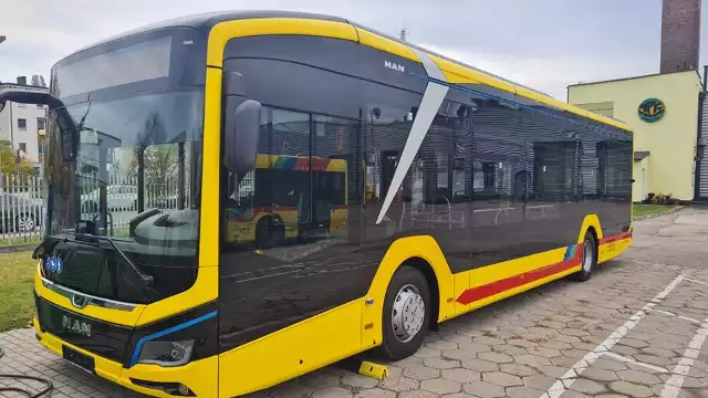Tak wyglądają autobusy elektryczne MAN, które w październiku 2022 roku dotarły do Włocławka.