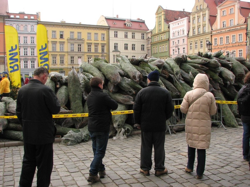 Wrocław, darmowe choinki na placu Solnym