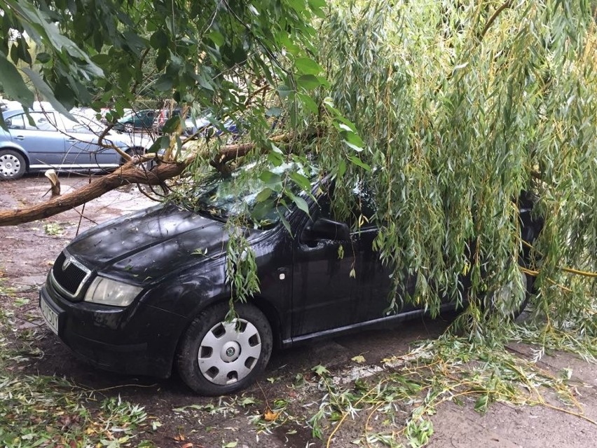 Wichura w woj. lubelskim. 275 interwencji straży