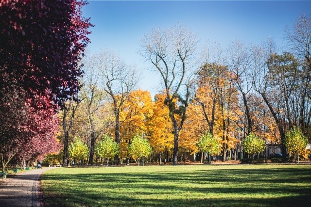 Park im. Tadeusza Kościuszki w Katowicach to jeden z największych parków w centrum miasta. Zajmuje on powierzchnię około Zajmuje powierzchnię 72 ha. Dzięki swej lokalizacji na skraju centralnych dzielnic miasta należy do najchętniej odwiedzanych terenów rekreacyjnych. Po zmroku park oświetlają stylowe latarnie.