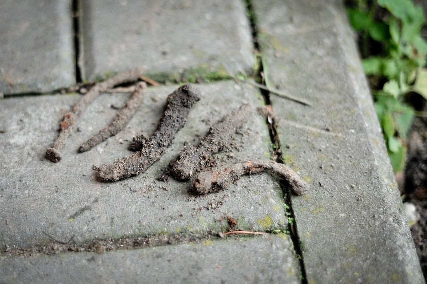 Odkrycia archeologów na podzamczu Zamku krzyżackiego w...