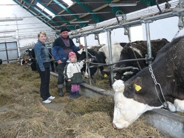 Karolina i Mariusz Faberscy są dumni ze swoich krów i nowej obory. W doglądaniu gospodarstwa nieraz towarzyszy im pięcioletnia córka Hania.