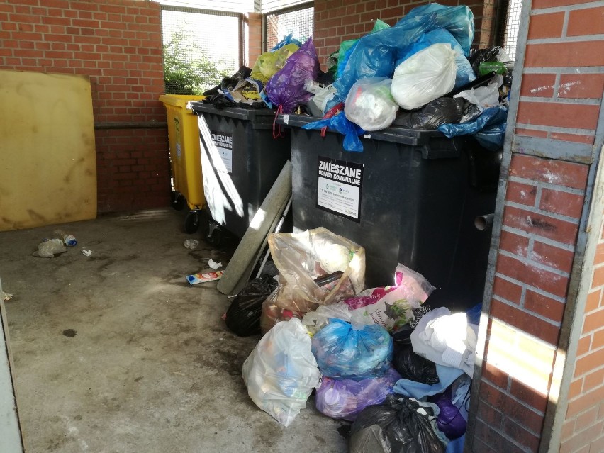 Wrocław: Przepełnione pojemniki na śmieci w Śródmieściu
