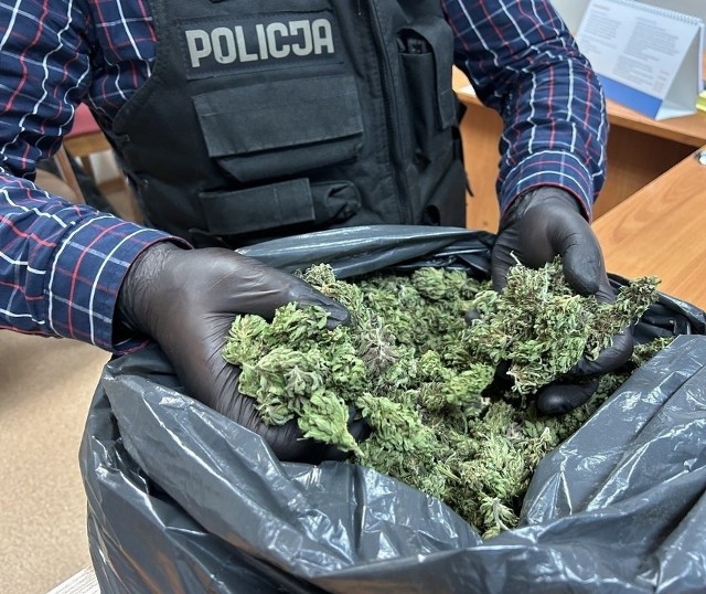 Poznańska policja zabezpieczyła około 127 kg narkotyków. 4 osoby zatrzymano.