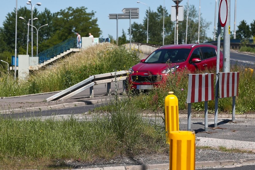 Wrocławskie ulice powoli zamieniają się w dżunglę