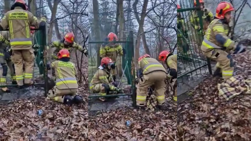 Gdyby nie strażacy nie wiadomo jakby potoczyły się losy...