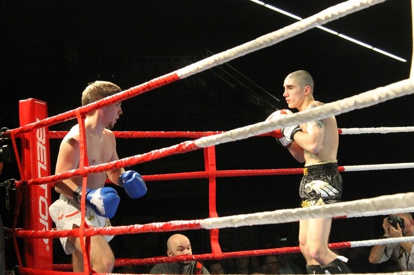 Głogowianie zdominowali Legion Fight Night [Zdjęcia Część 1]