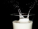 Branża mleczarska zmaga się z wieloma problemami. Spadająca cena wpływa negatywnie na producentów i hodowców