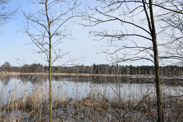 Śląskie Mazury są w Żorach i w gminie Czerwionka-Leszczyny. Rejon Biesa w dzielnicy Rowień i Nowa Wieś w Szczejkowicach kuszą przepięknym krajobrazem