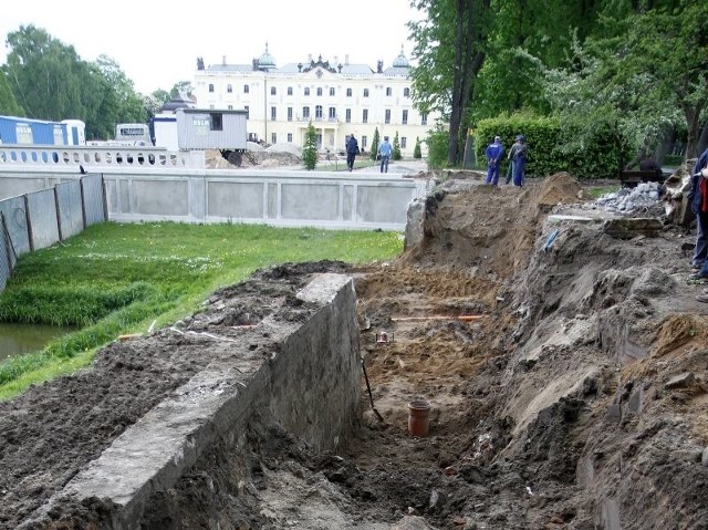 Niezwykłe odkrycie w ogrodach