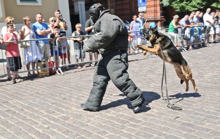 Święto policji w Toruniu...