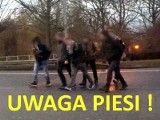 Od początku roku 12 pieszych rannych, jedna ofiara śmiertelna (wideo)