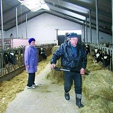 Janusz Żakowicz z Owieczek na nawozy musiałby wydać 50 tys. zł. Jest to zbyt dużo, bo cena mleka znacznie spadła. Dlatego w tym roku wcale ich nie kupi.