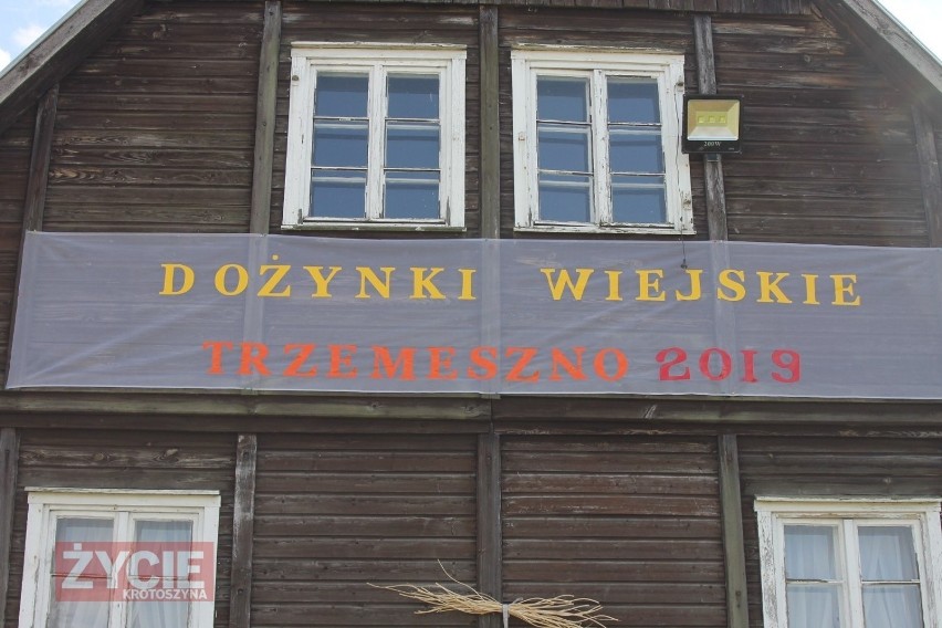 Dożynki 2019 Trzemeszno (powiat krotoszyński). Jak rolnicy z...