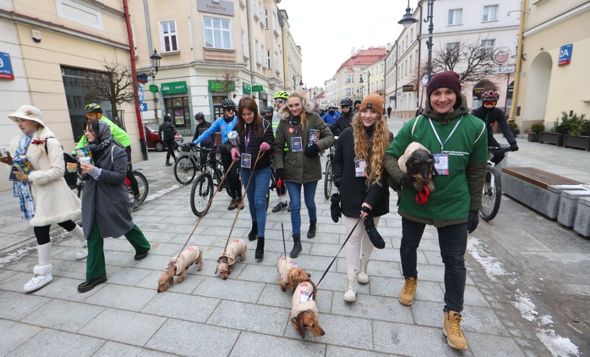 Wielka parada psów i wiele atrakcji na rzeszowskim rynku - gra Wielka Orkiestra Świątecznej Pomocy [ZDJĘCIA, WIDEO]