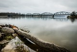 Ogłoszono stan pogotowia przeciwpowodziowego dla Bydgoszczy