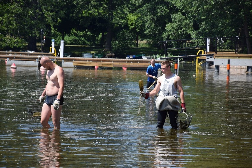 Wielkie porządki na plażach Szczecinka (zdjęcia)