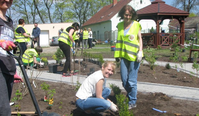 W sobotę pracowało 30 pracowników "Górażdży&#8221; z rodzinami.