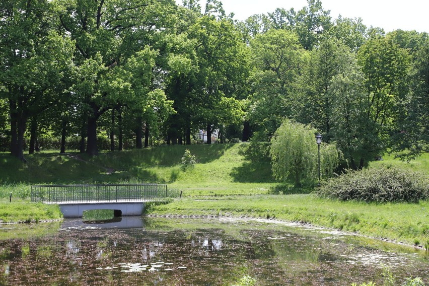 Remont parku Helenów w Łodzi