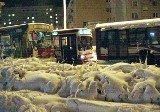 Drogi w gminie Jedlnia Letnisko nieodśniezone, linia autobusowa 22 zostaje zawieszona