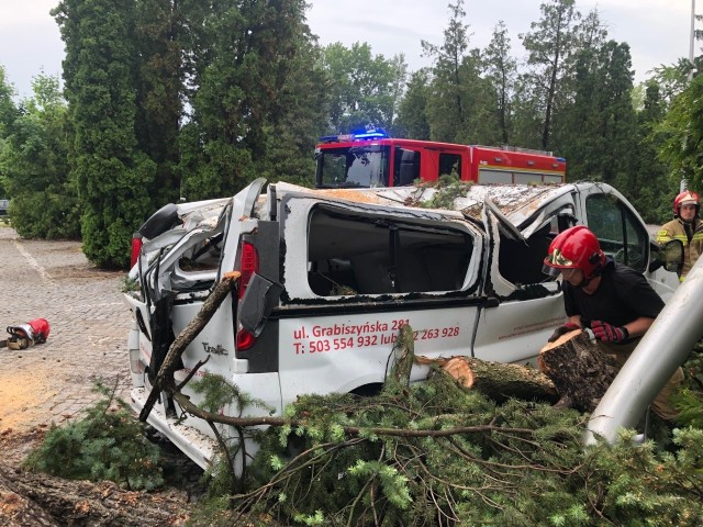 Drzewo runęło na samochód przy parku Grabiszyńskim